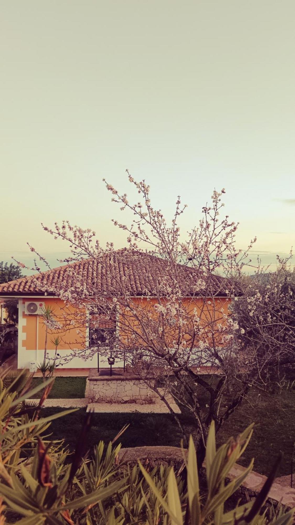 Villa Leonardo Canicattini Bagni Exterior foto